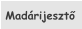 Mad�rijeszt�