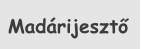 Mad�rijeszt�