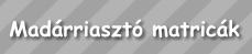 Mad�rriaszt� matric�k