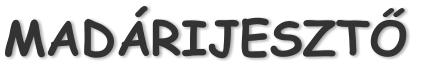MAD�RIJESZT�