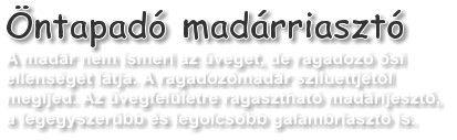 �ntapad� mad�rriaszt�  A mad�r nem ismeri az �veget, de ragadoz� �si ellens�g�t l�tja. A ragadoz�mad�r sziluettj�t�l megijed. Az �vegfel�letre ragaszthat� mad�rijeszt�,  a legegyszer�bb �s legolcs�bb galambriaszt� is.