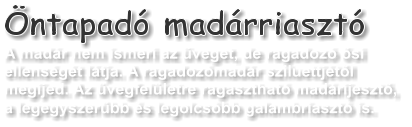 �ntapad� mad�rriaszt�  A mad�r nem ismeri az �veget, de ragadoz� �si ellens�g�t l�tja. A ragadoz�mad�r sziluettj�t�l megijed. Az �vegfel�letre ragaszthat� mad�rijeszt�,  a legegyszer�bb �s legolcs�bb galambriaszt� is.