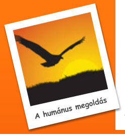 A hum�nus megold�s