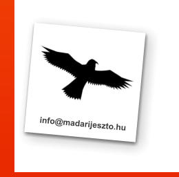 info@madarijeszto.hu